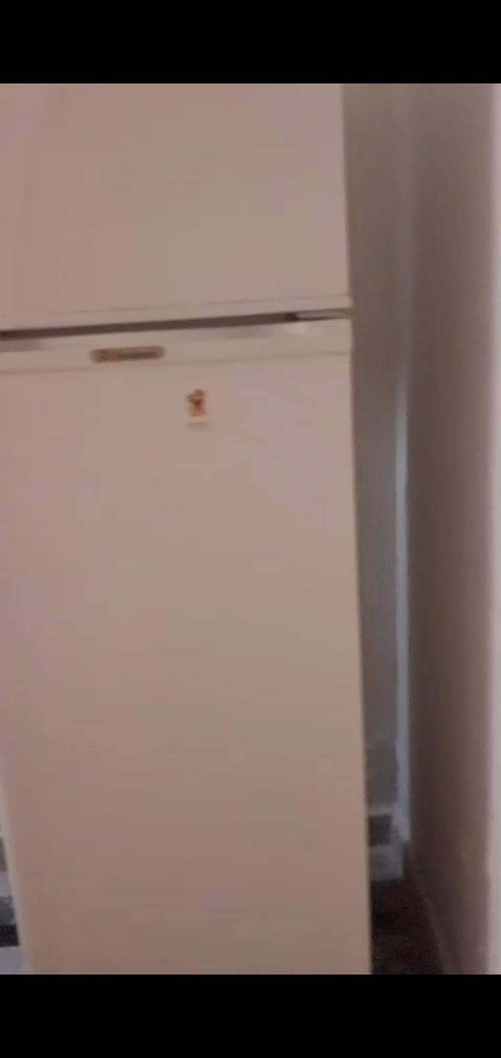 fridge 4
