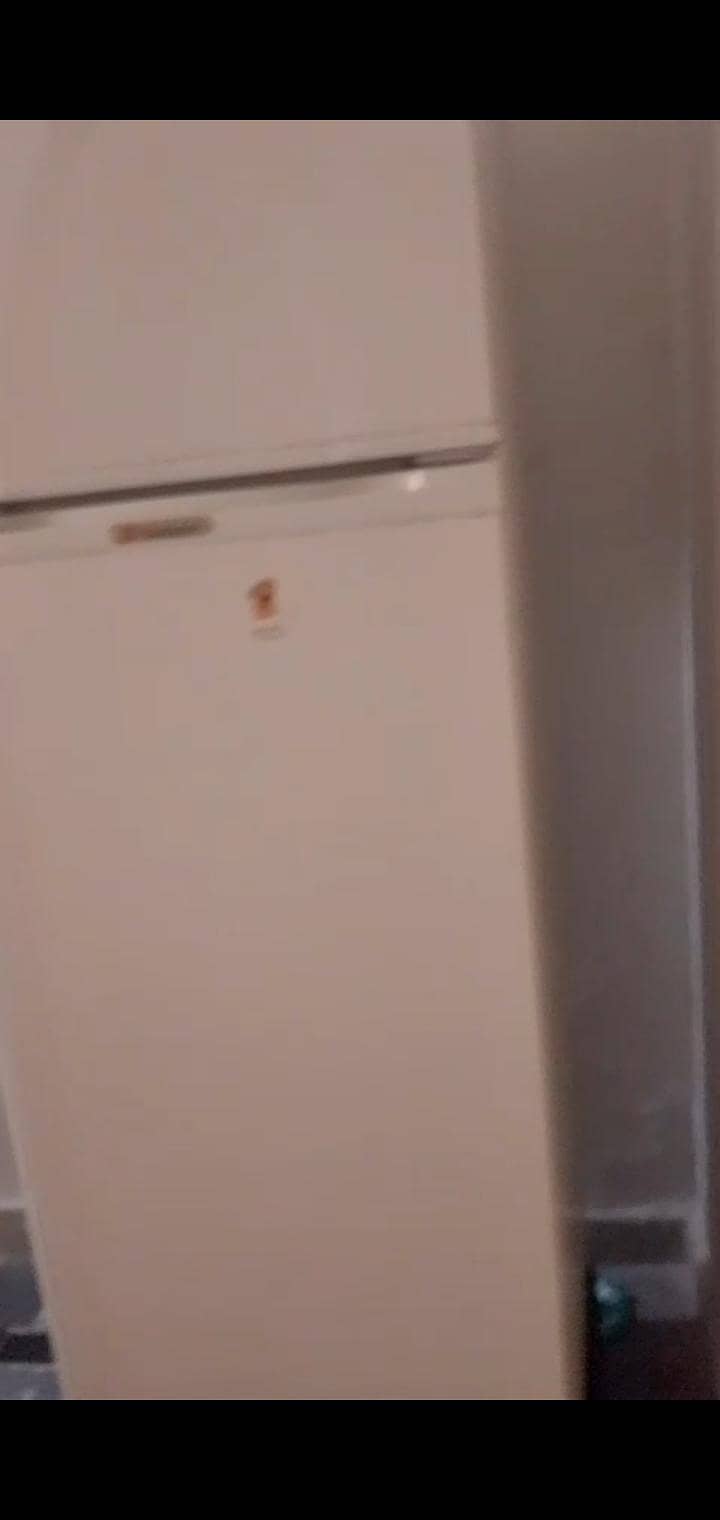 fridge 5