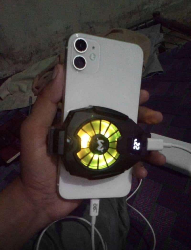 iPhone 11 0