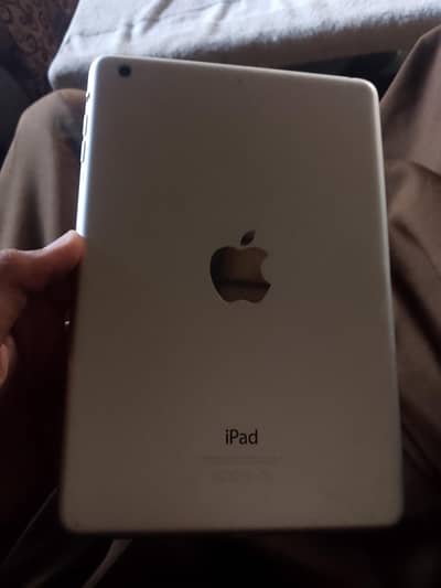 Apple iPhone ipad 2 mini