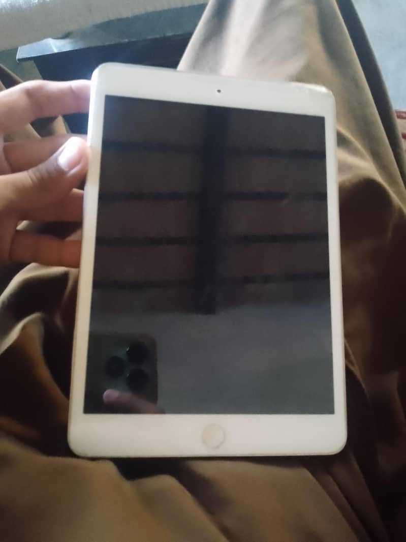 Apple iPhone ipad 2 mini 1