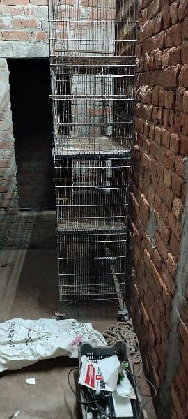 cage for birds