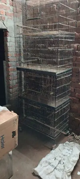 cage for birds — photo 2