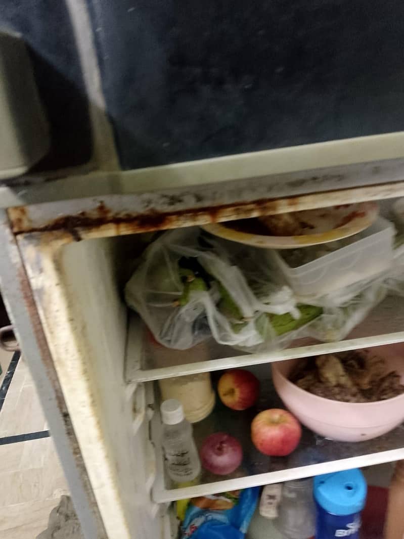 fridge 5