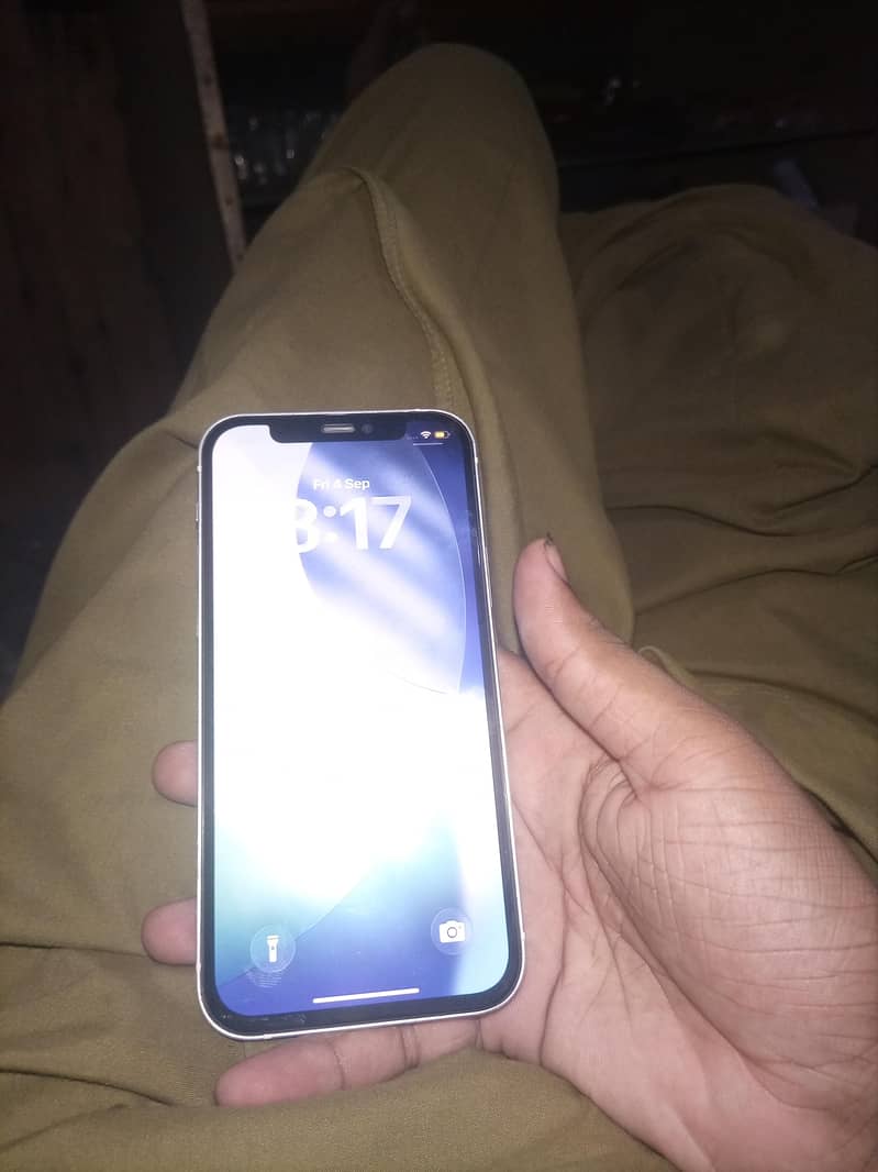 Apple iPhone 12 1