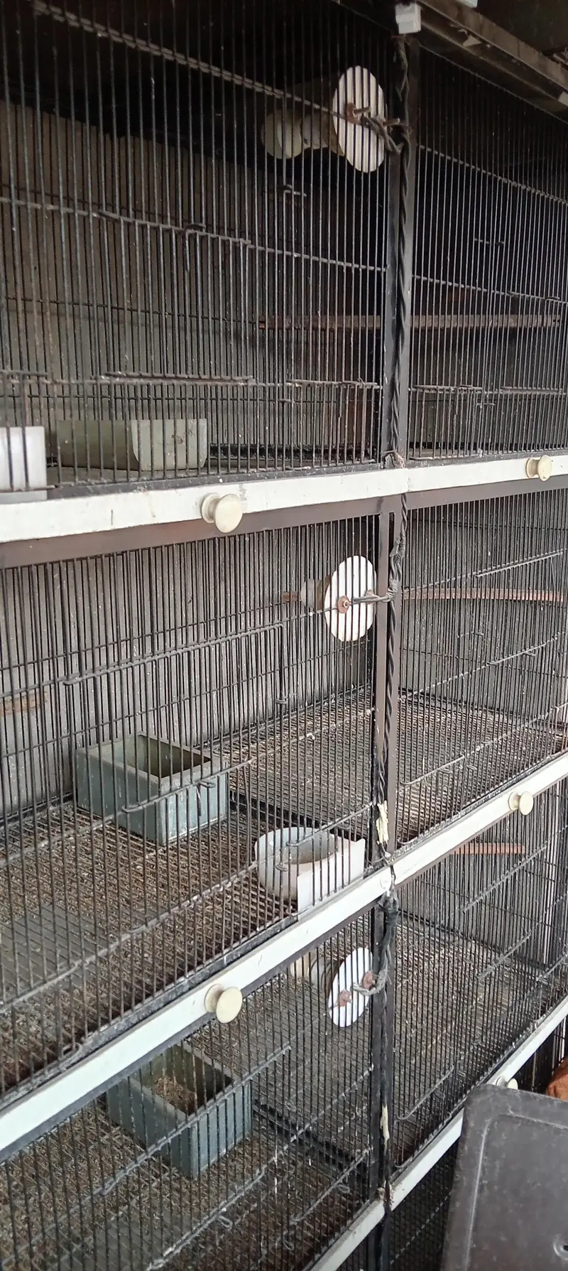 Spot welding full angle cage