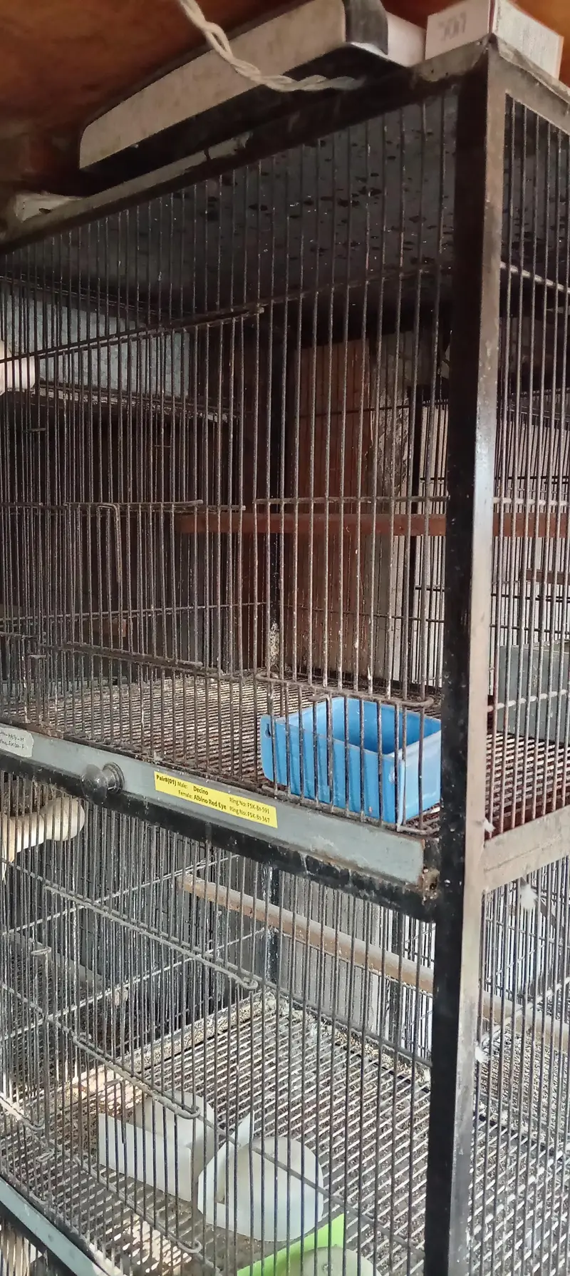 Spot welding full angle cage — photo 2