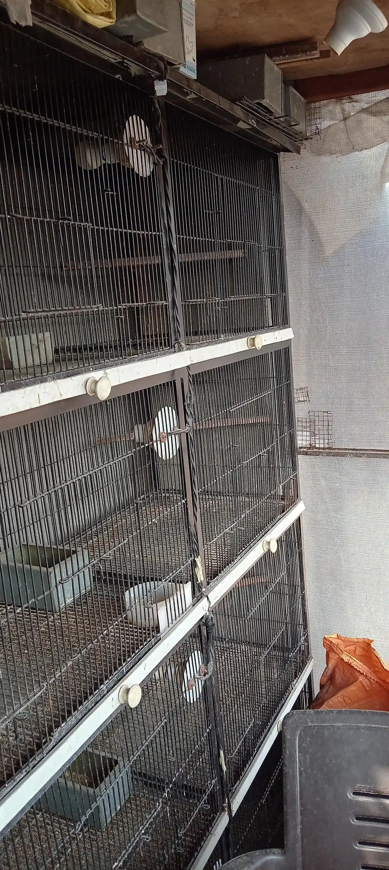 Spot welding full angle cage — photo 3
