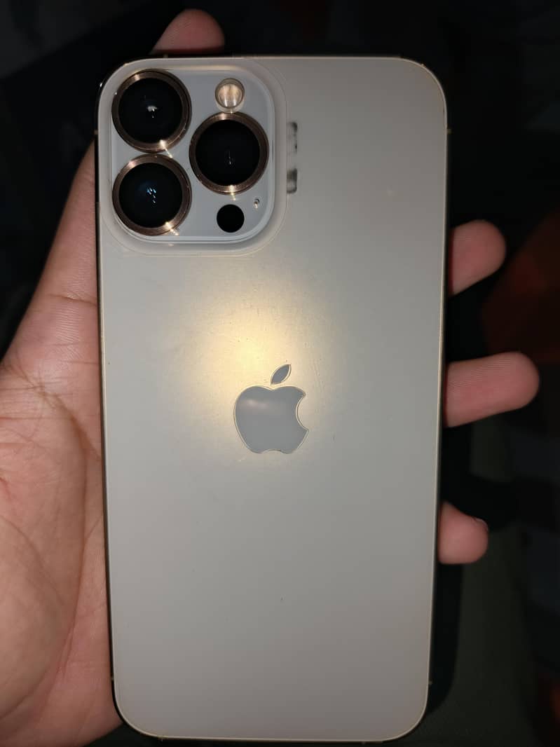 Apple iPhone 13 Pro Max 1