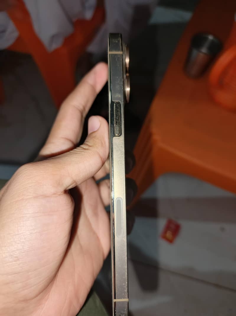 Apple iPhone 13 Pro Max 2