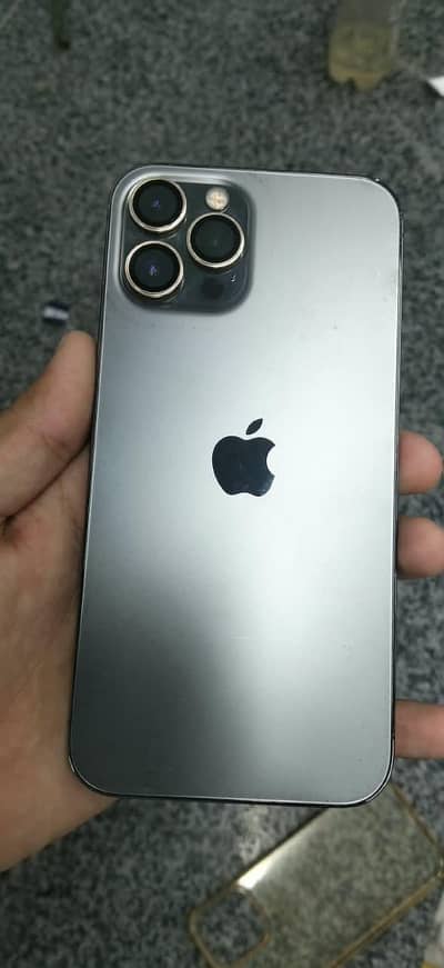 iphone 12 pro max