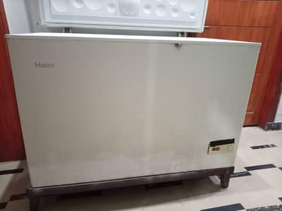 Haier d freezers