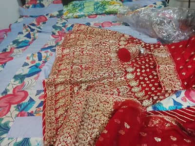 bridel lenga for sell