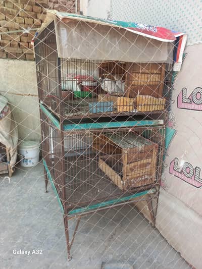 big size cage