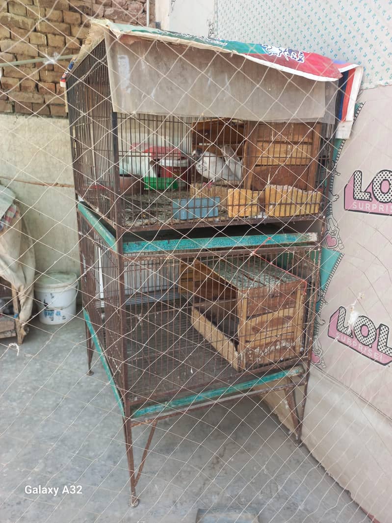 big size cage 0