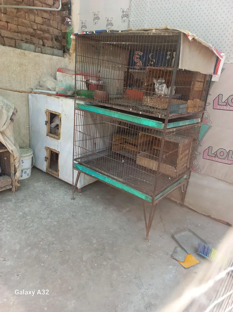 big size cage — photo 2