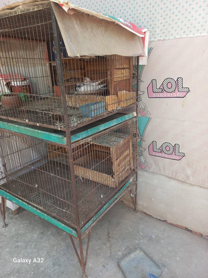 big size cage 2