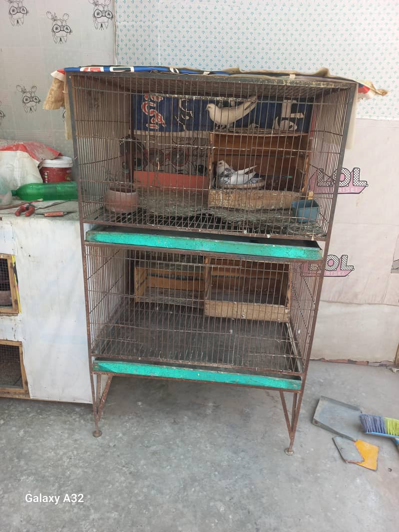 big size cage 3