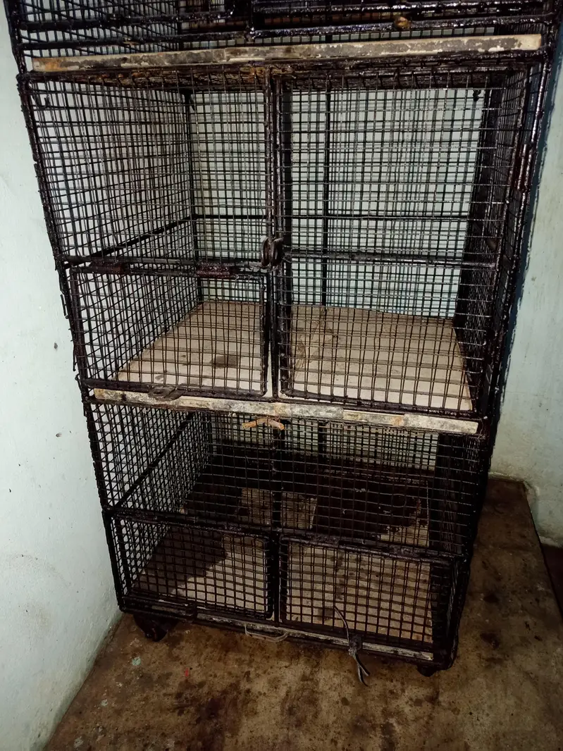 Cages