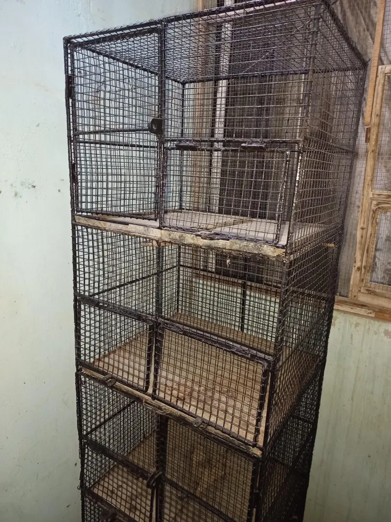 Cages — photo 2
