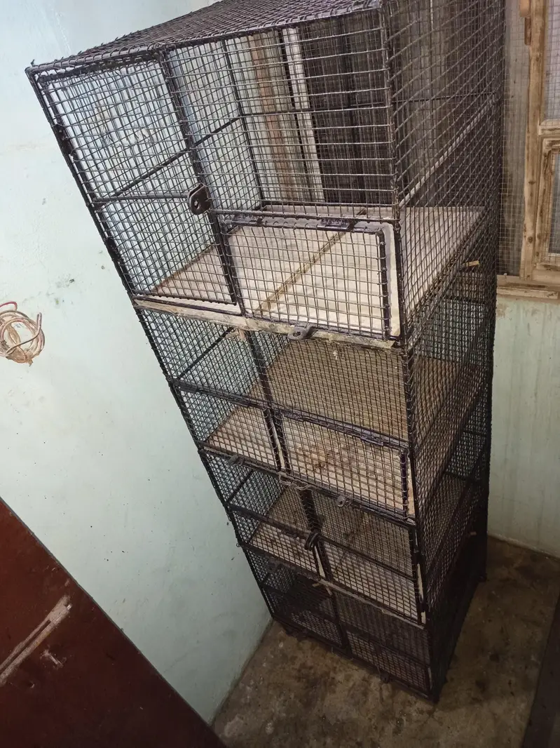 Cages — photo 3