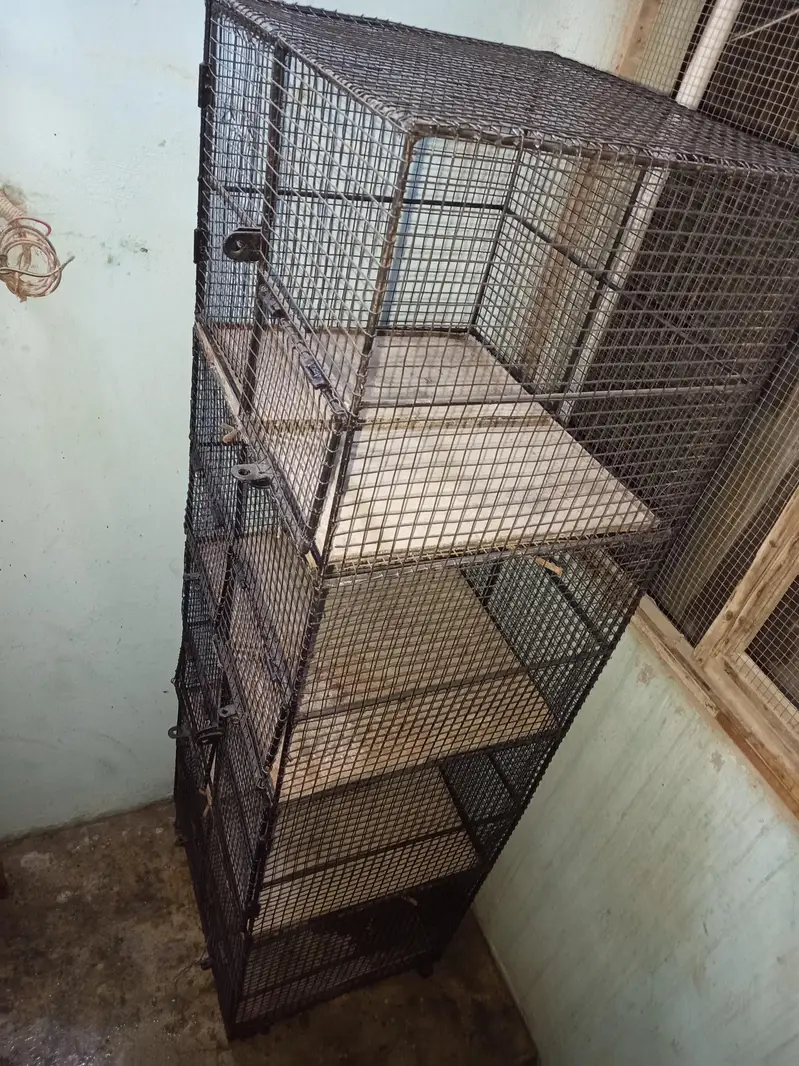 Cages — photo 4