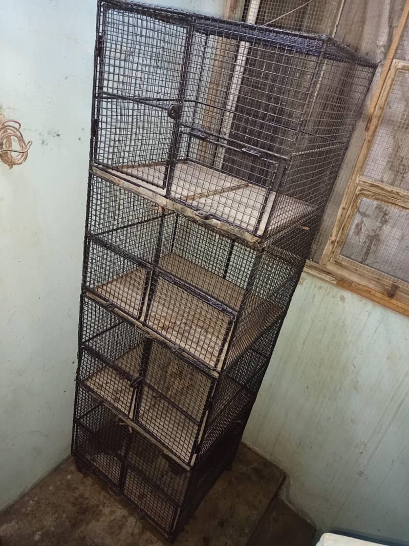 Cages 4