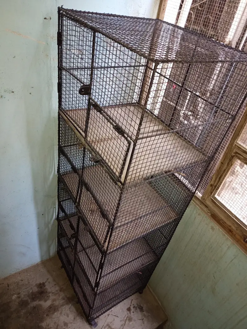 Cages — photo 6