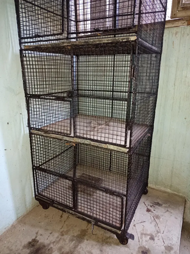Cages — photo 7