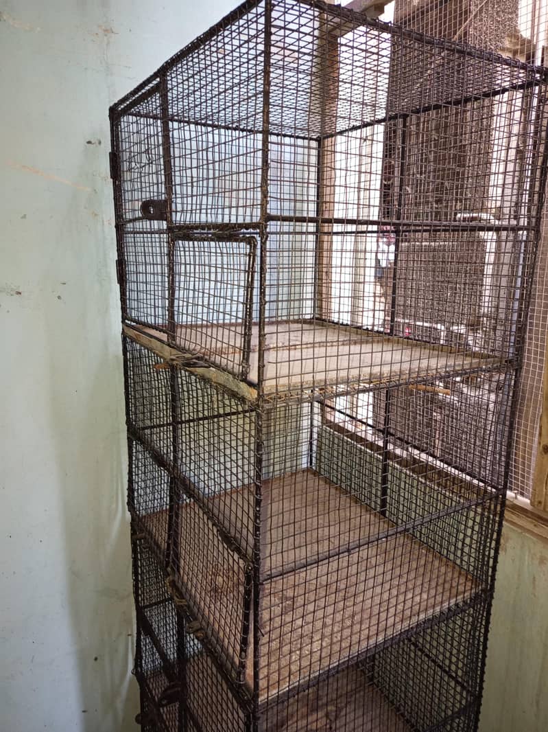 Cages 7