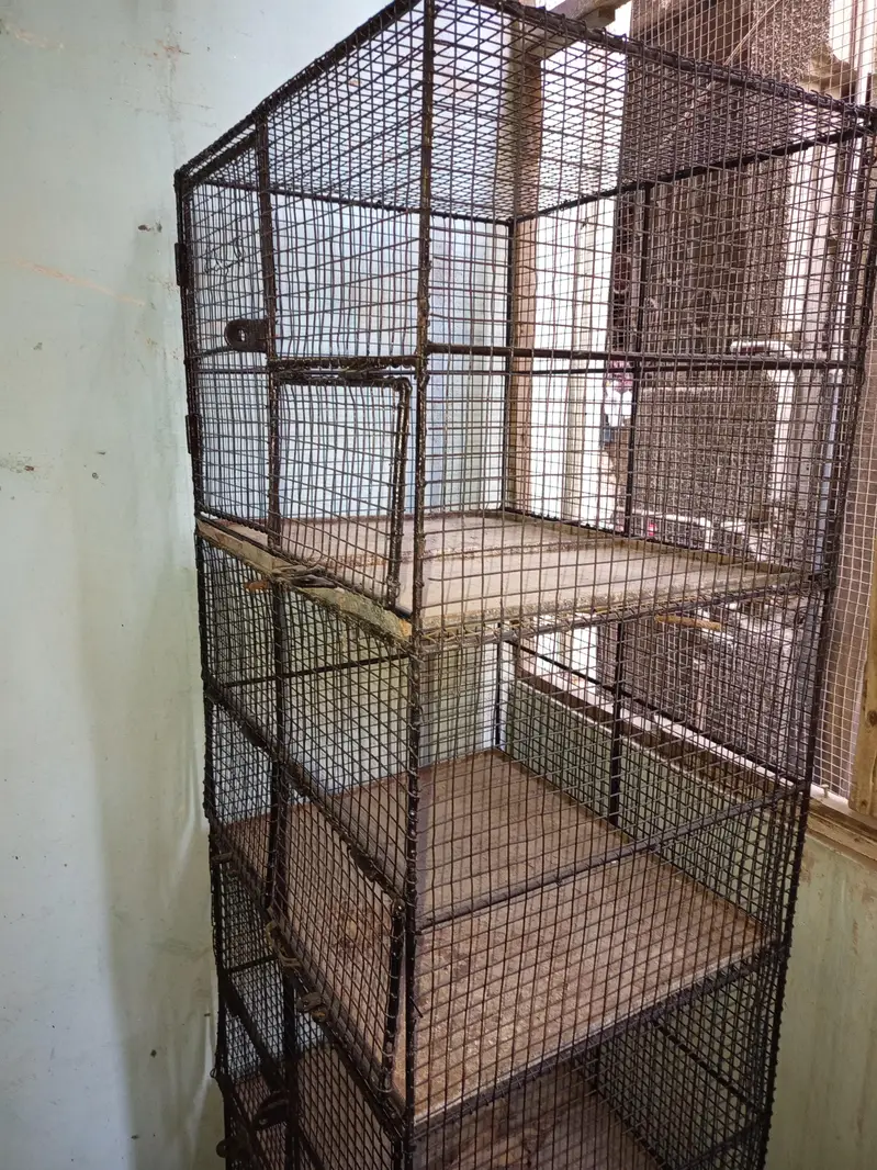 Cages — photo 8