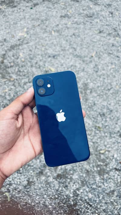 Apple iPhone 12