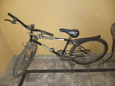 Cycle