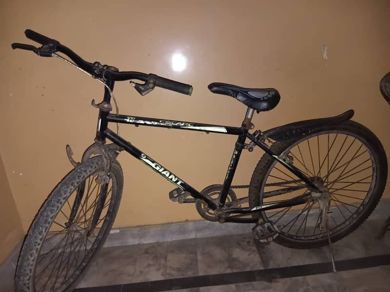 Cycle 1
