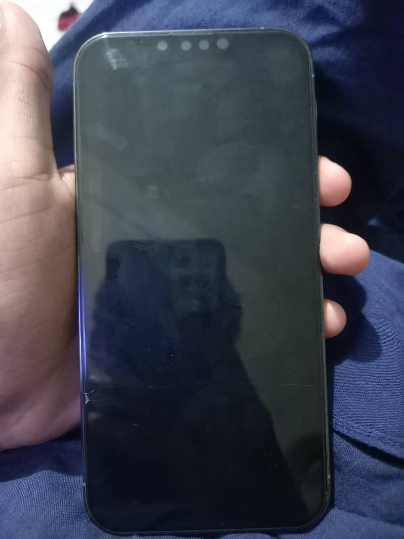 Apple iPhone 13 Pro Max 1
