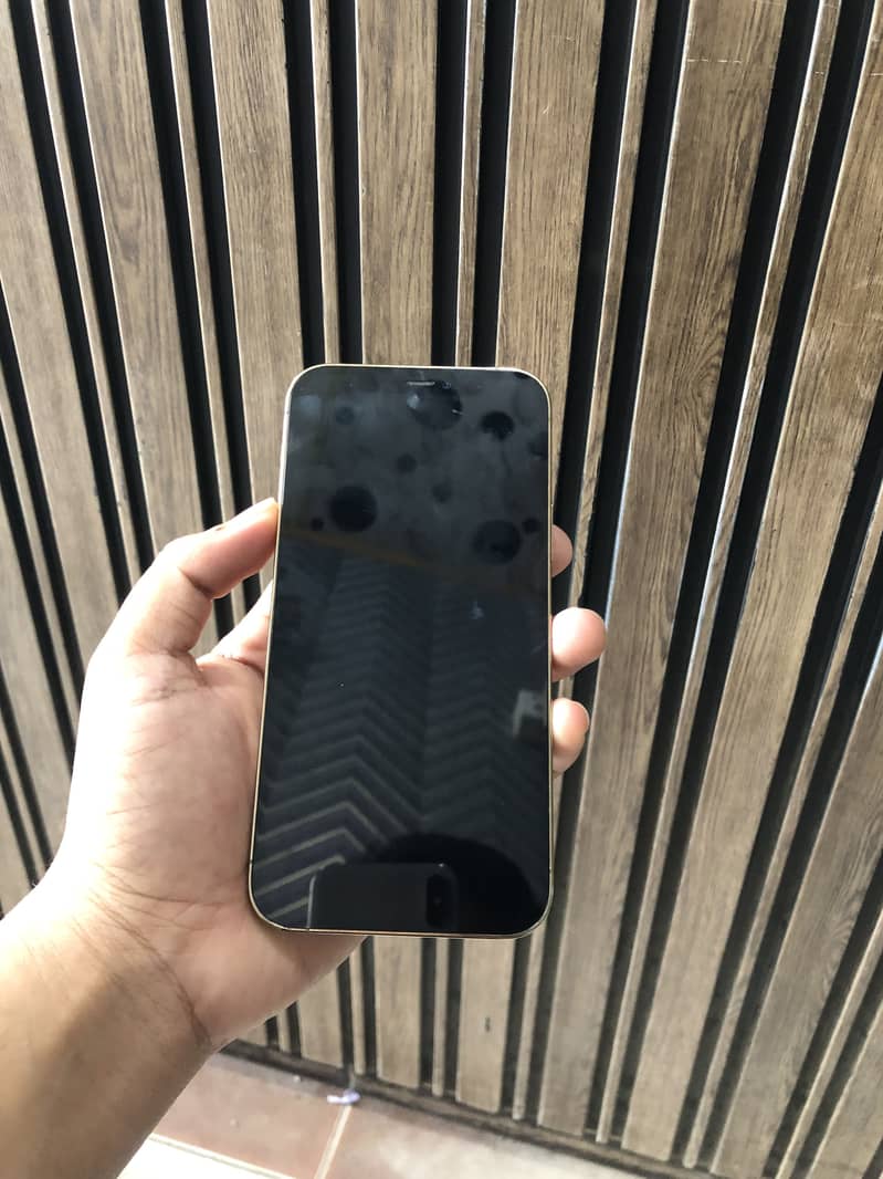 Apple iPhone 12 Pro 1