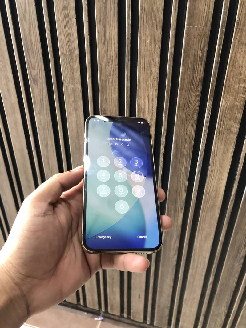 Apple iPhone 12 Pro 2
