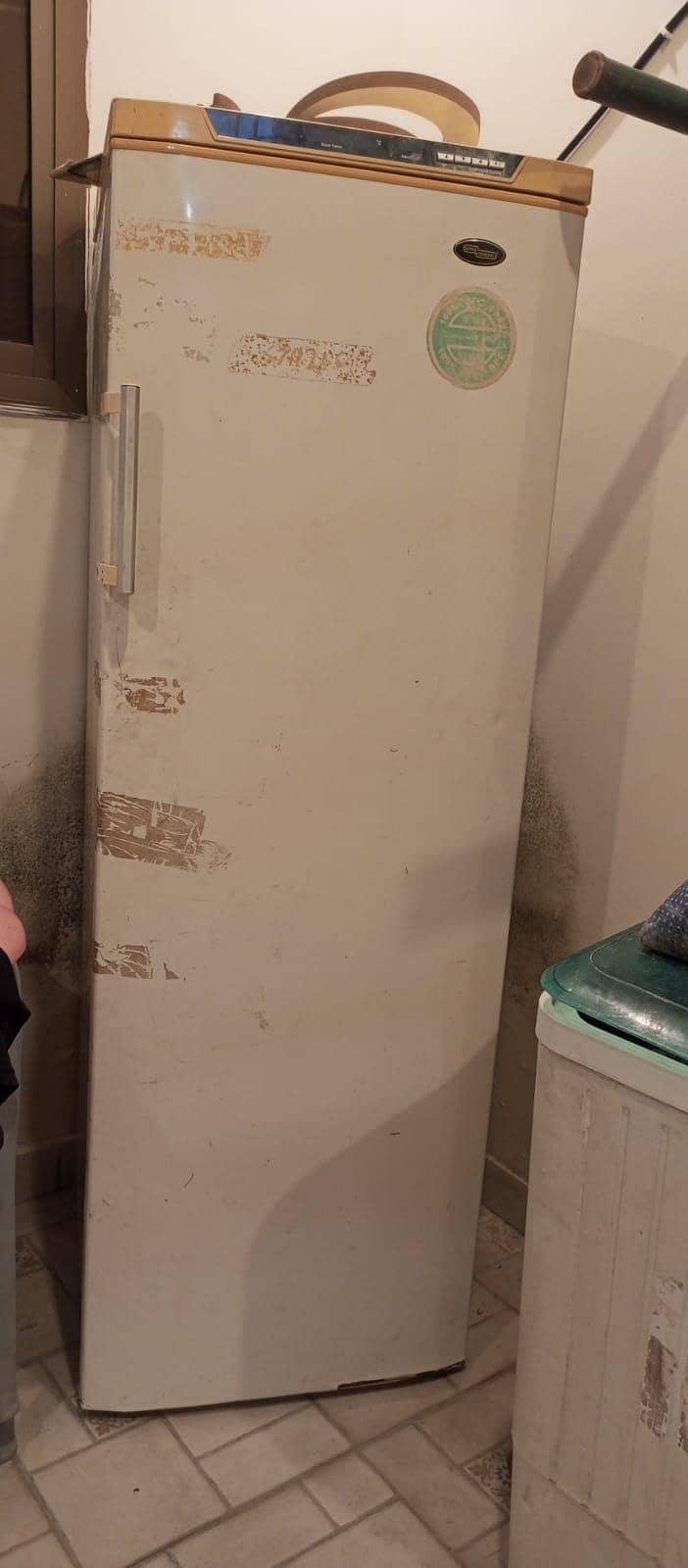 vertical freezer 4