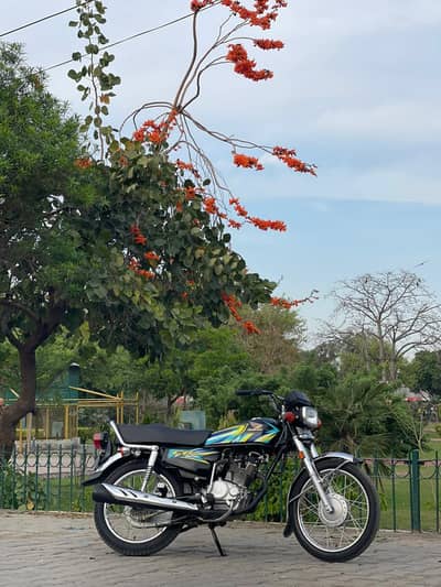 Honda 125 25/26