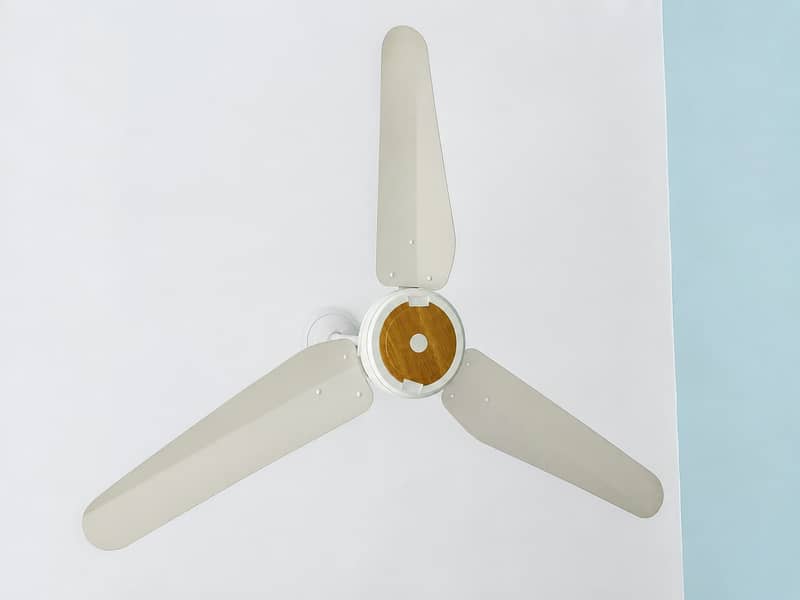 Ceiling Fan 1