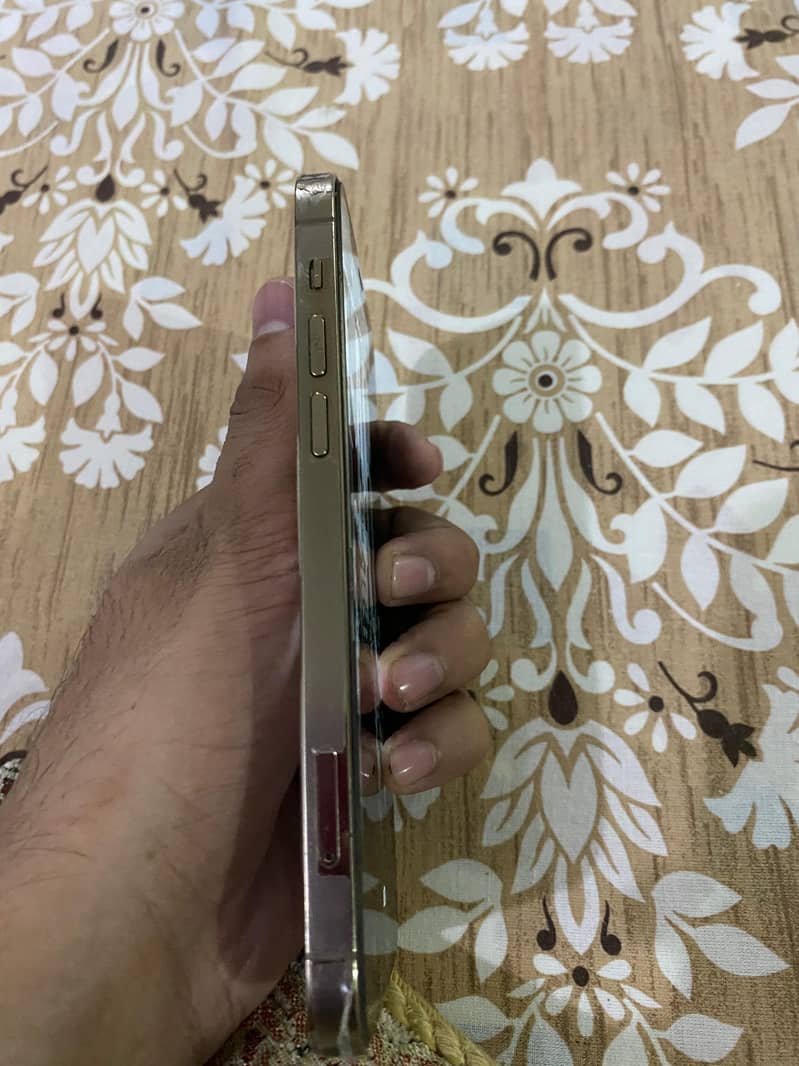 Apple iPhone 12 Pro 1