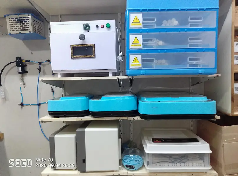 Eggs Incubator Brooder Hatching Machine Automatic Incubator Parts Incu — photo 3