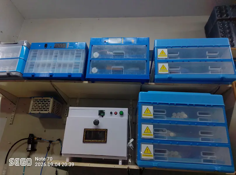 Eggs Incubator Brooder Hatching Machine Automatic Incubator Parts Incu — photo 4