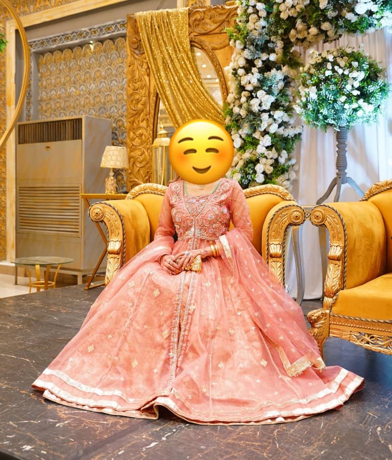 Fancy fruk 2
