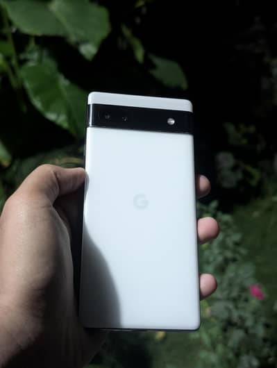 Google 6a Official Pta Approved