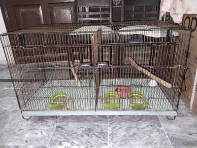 Ali cage 3*1.5*1.5 ft 2 portion