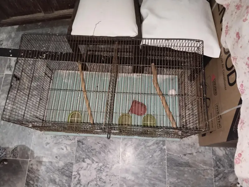 Ali cage 3*1.5*1.5 ft 2 portion — photo 2