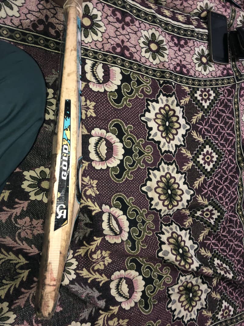 Cricket bat 2
