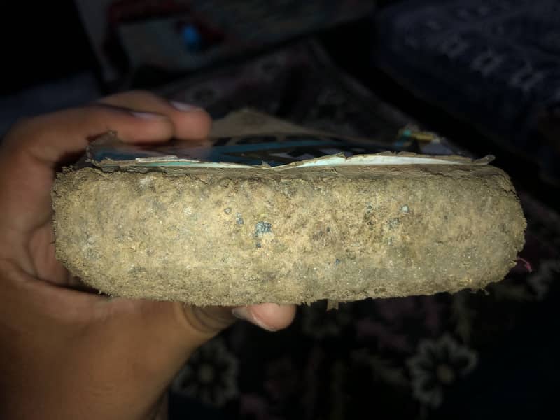 Cricket bat 3