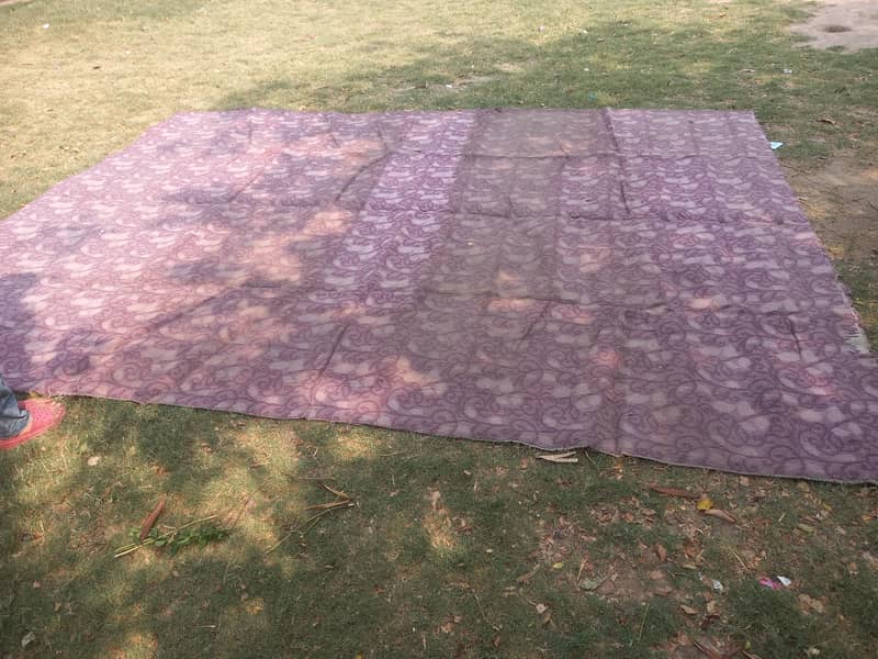 Carpet 1